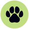 pet-damage-carpet-repair
